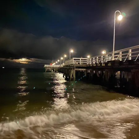 Seaview Octopus Zoppot