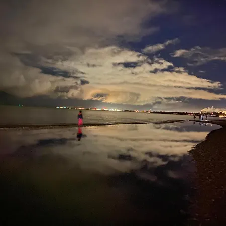 Seaview Octopus Sopot