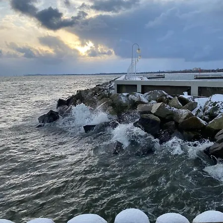 Seaview Octopus Zoppot