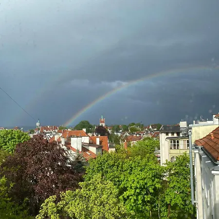 Seaview Octopus * Zoppot