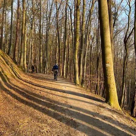 Seaview Octopus Apartment