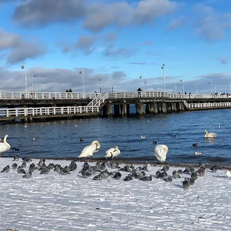 Lejlighed Seaview Octopus
