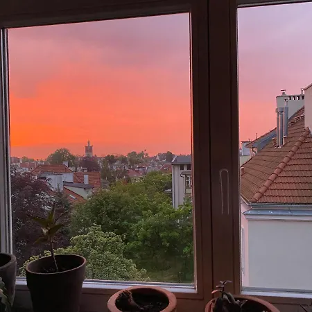 Daire Seaview Octopus