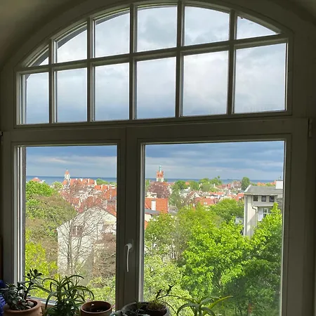 Seaview Octopus Daire *