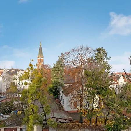 Seaview Octopus Zoppot