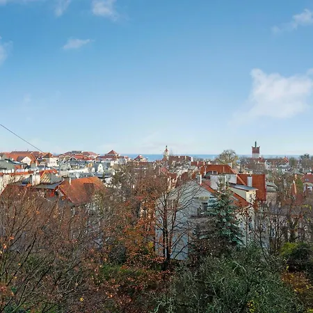 Seaview Octopus Daire *