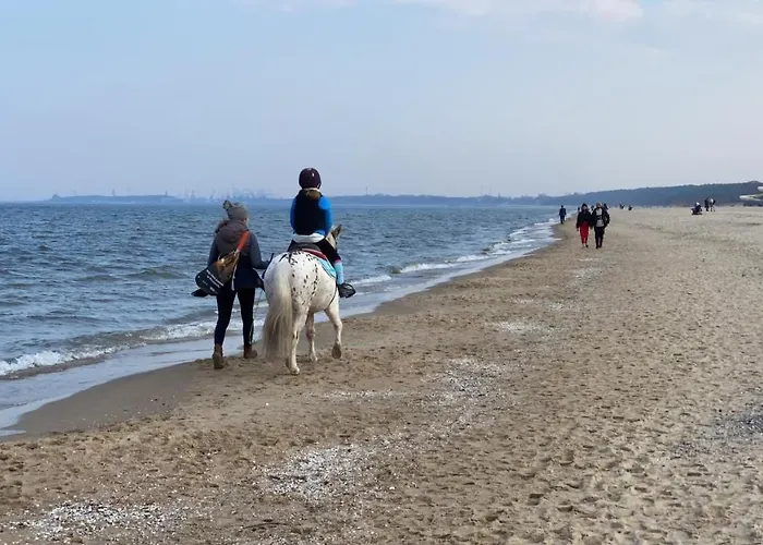 Seaview Octopus Appartement *