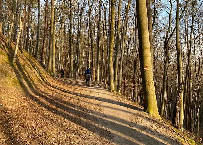 Seaview Octopus Appartement