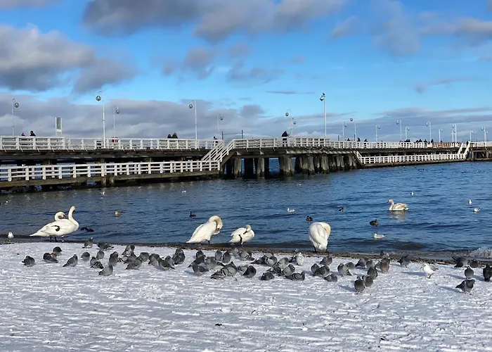 Appartement Seaview Octopus