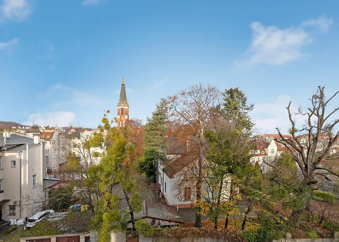 Seaview Octopus Sopot